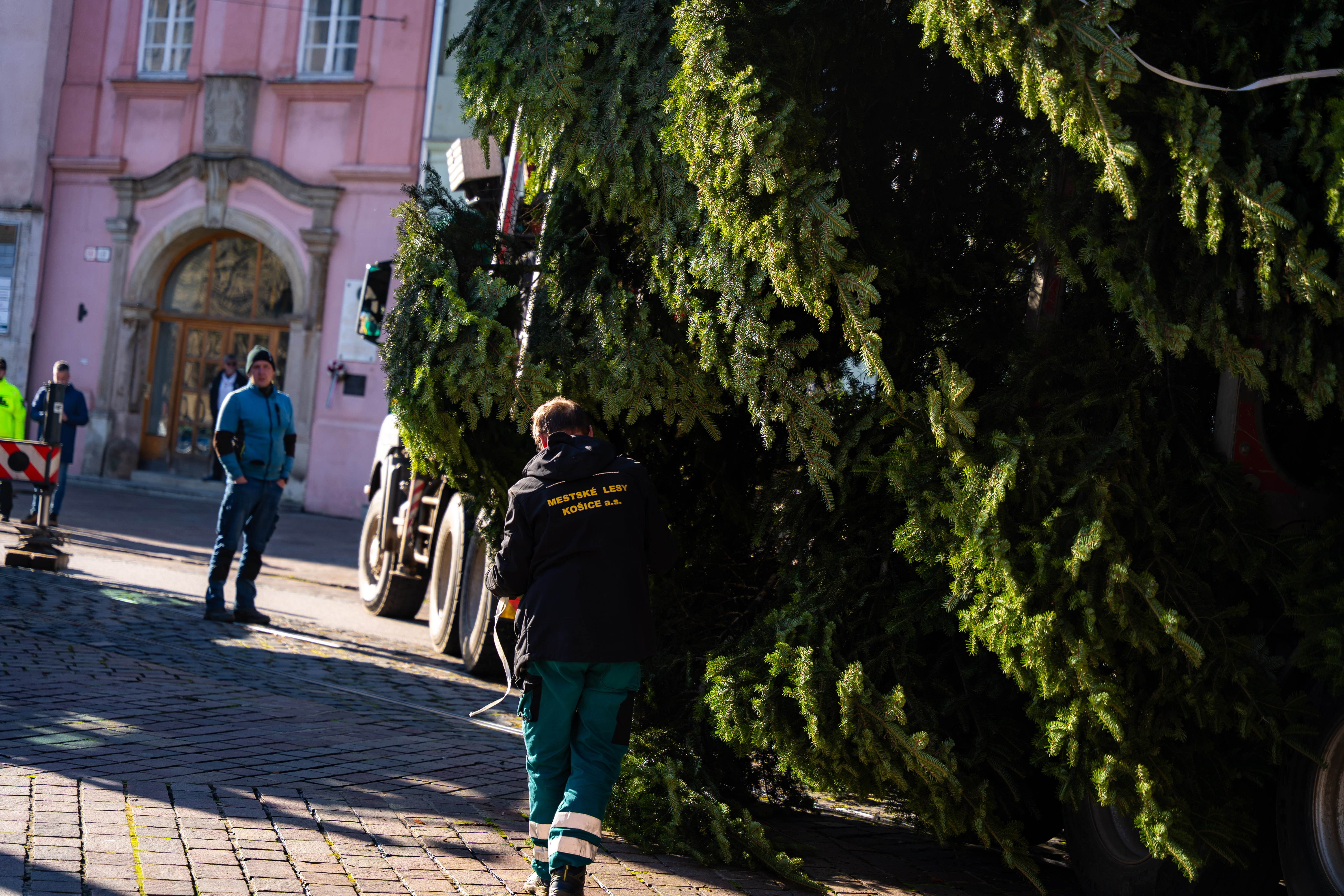 Umiestnovanie Vianocneho stromu-7